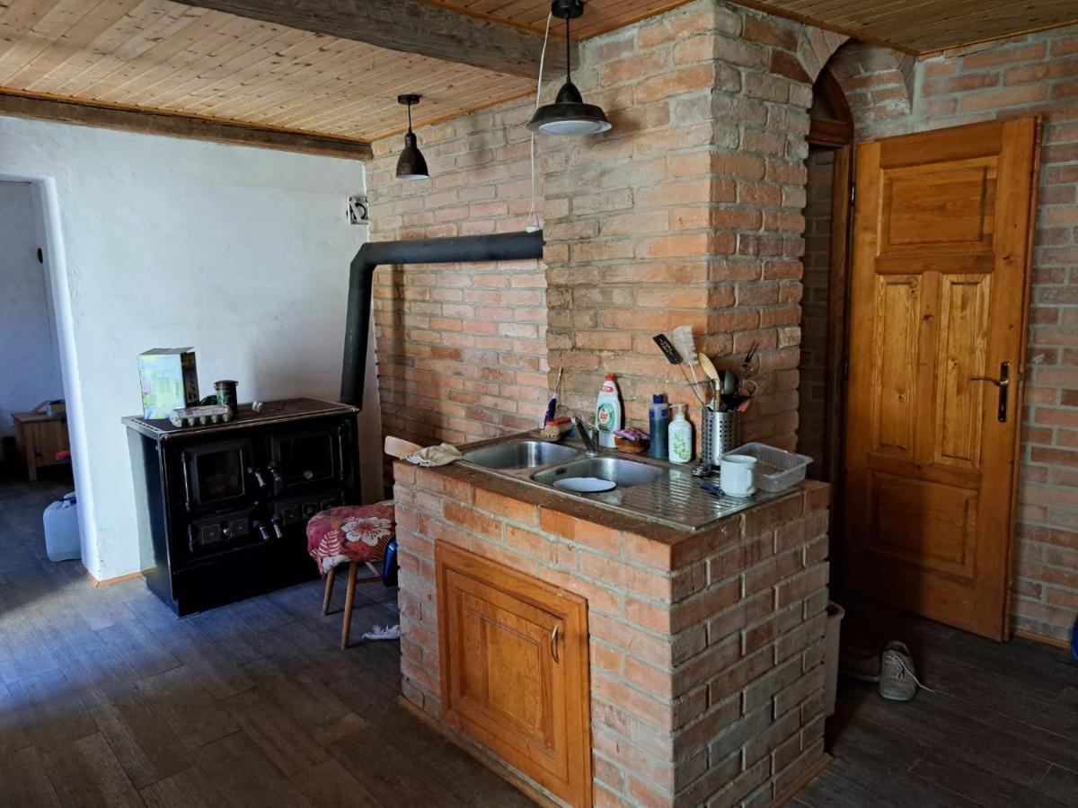 Vila Hedvika Nove Hrady  Luaran gambar