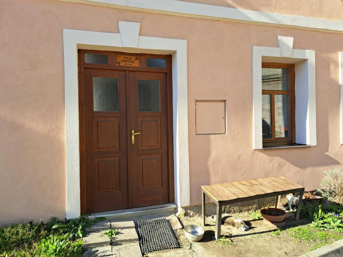 Vila Hedvika Nove Hrady  Luaran gambar